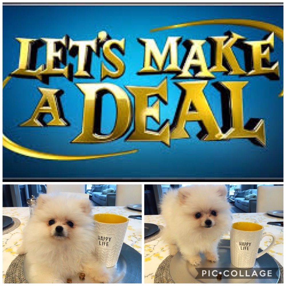 Let’s make a deal!